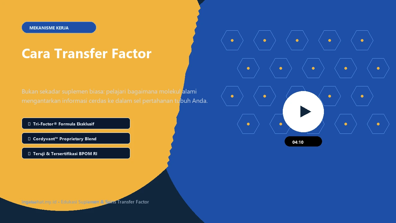 Cara Transfer Factor Membantu Sistem Imun Bekerja